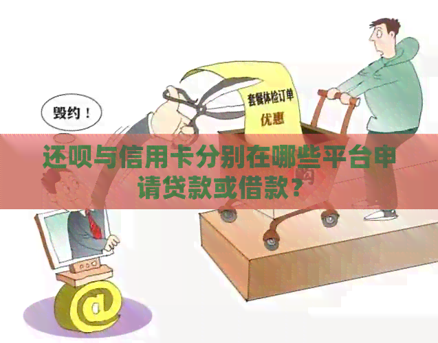 还款与信用卡分别在哪些平台申请贷款或借款？