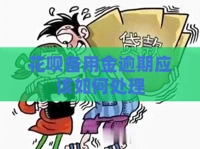白条备用金逾期应该如何处理
