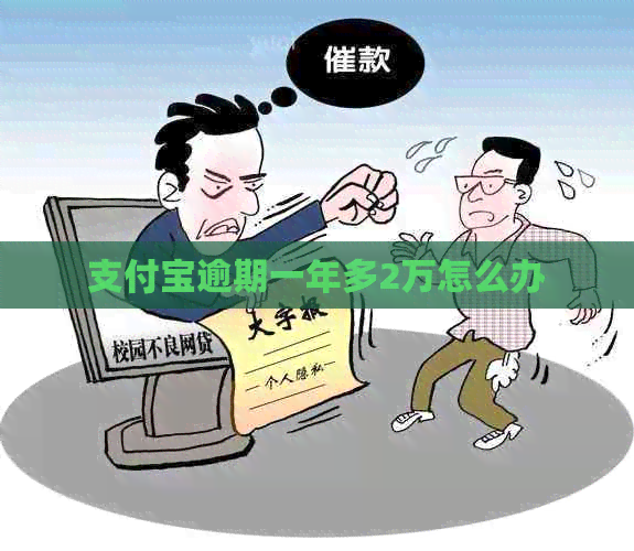 信用卡逾期一年多2万怎么办