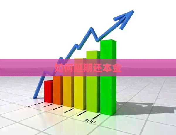 如何延期还本金