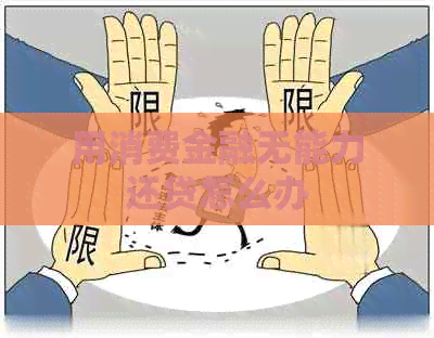 用消费金融无能力还贷怎么办
