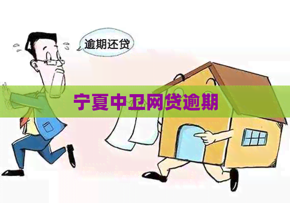 宁夏中卫网贷逾期 宁夏中卫网贷逾期