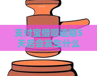 信用卡信用卡逾期5天后会发生什么 信用卡信用卡逾期5天后会发生什么