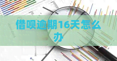 信用卡逾期16天怎么办 信用卡逾期16天怎么办