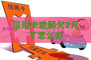 信用卡逾期欠2万了怎么办