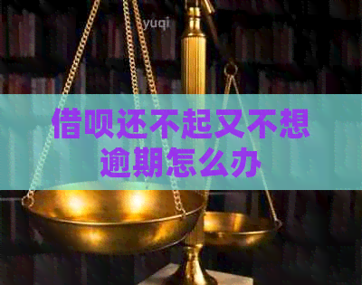 信用卡还不起又不想逾期怎么办