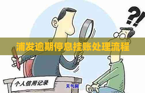 浦发逾期停息挂账处理流程