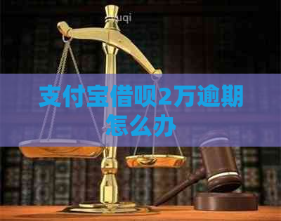 信用卡信用卡2万逾期怎么办