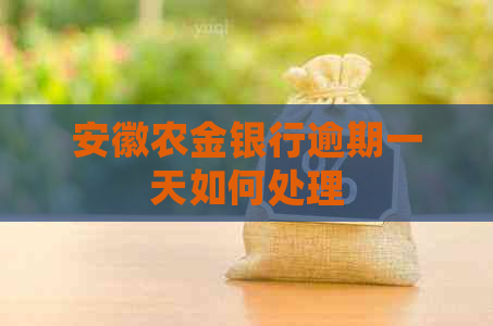 安徽农金银行逾期一天如何处理