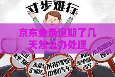 京东金条逾期了几天怎么办处理