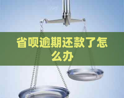 省呗逾期还款了怎么办