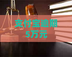 信用卡逾期5万元