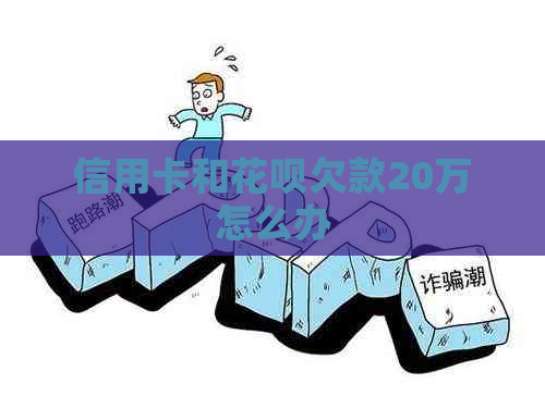 信用卡和白条欠款20万怎么办