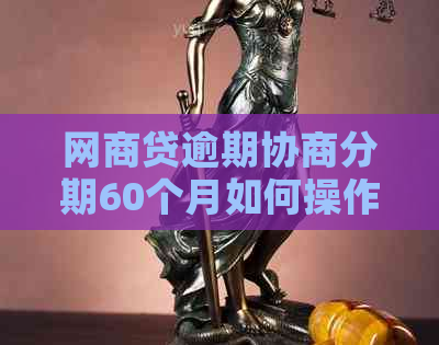 白条贷逾期协商分期60个月如何操作
