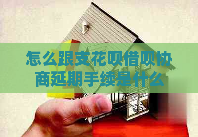 怎么跟支白条信用卡协商延期手续是什么