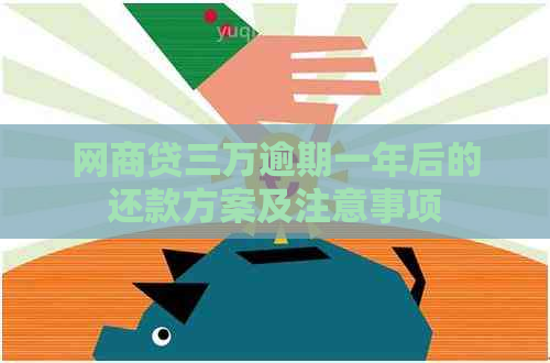 白条贷三万逾期一年后的还款方案及注意事项