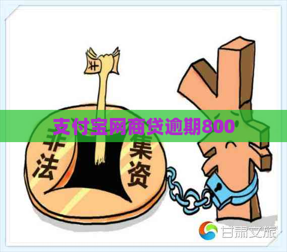 信用卡白条贷逾期800