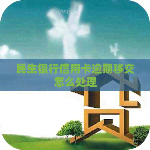 民生银行信用卡逾期移交怎么处理