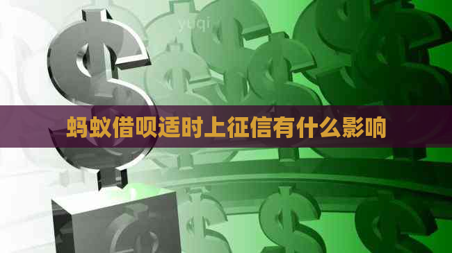 蚂蚁信用卡适时上有什么影响