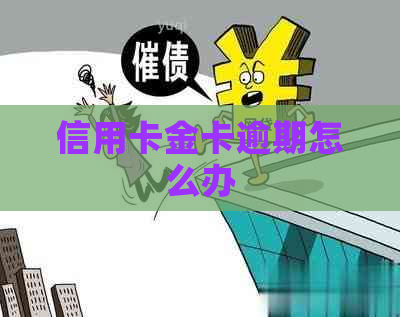 信用卡金卡逾期怎么办
