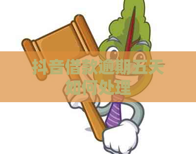 抖音借款逾期五天如何处理