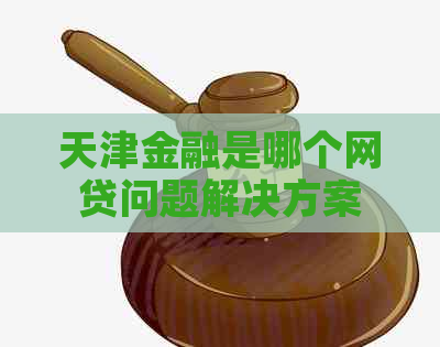 天津金融是哪个网贷问题解决方案