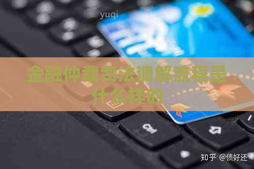 金融仲裁司法调解流程是什么样的