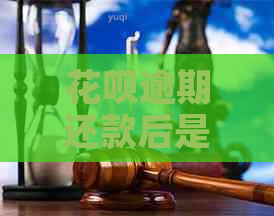 白条逾期还款后是什么后果