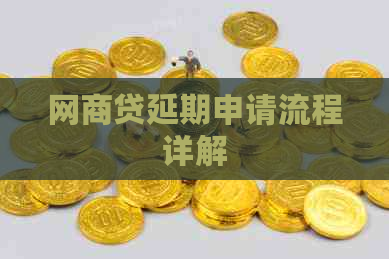 白条贷延期申请流程详解