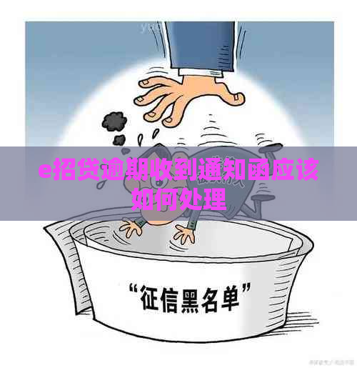 e招贷逾期收到通知函应该如何处理