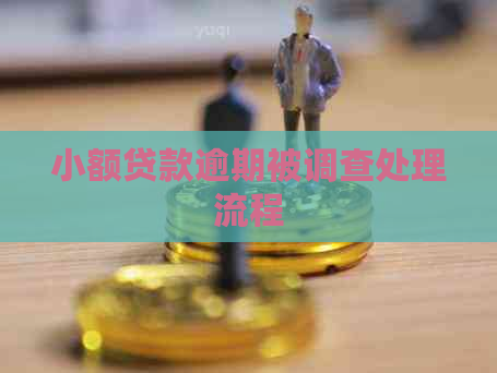 小额贷款逾期被调查处理流程