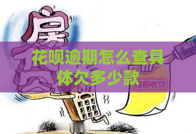 白条逾期怎么查具体欠多少款