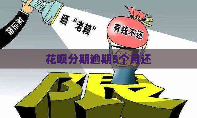 白条分期逾期5个月还