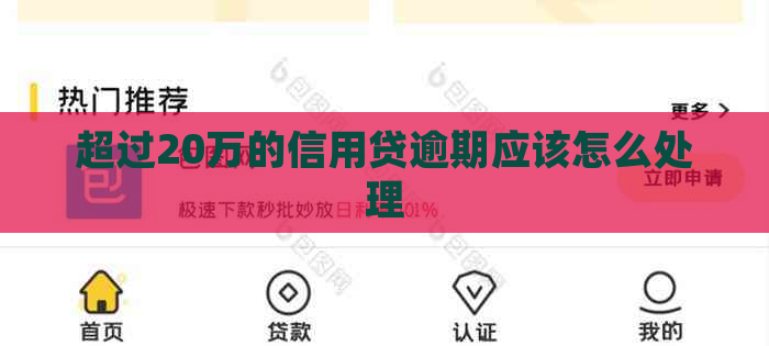 超过20万的信用贷逾期应该怎么处理