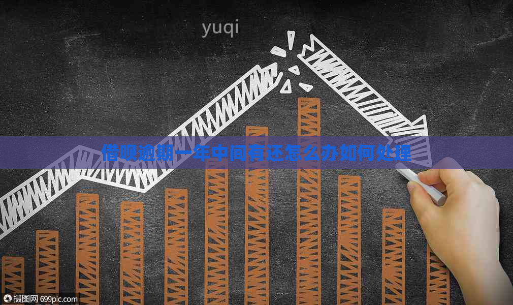 信用卡逾期一年中间有还怎么办如何处理
