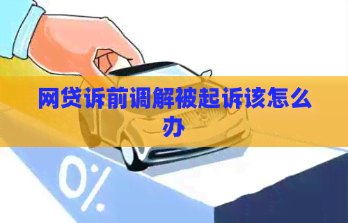 网贷诉前调解被起诉该怎么办