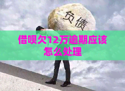 信用卡欠12万逾期应该怎么处理