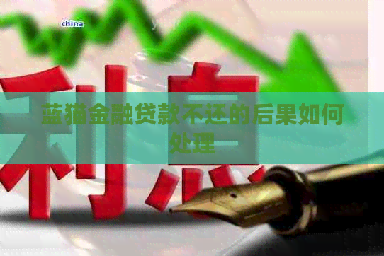 蓝猫金融贷款不还的后果如何处理