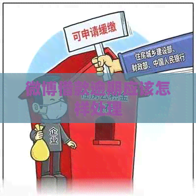 微博借款逾期应该怎样处理