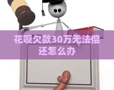 白条欠款30万无法偿还怎么办