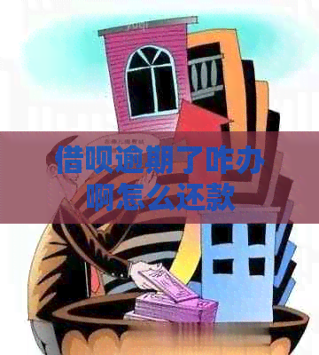 信用卡逾期了咋办啊怎么还款
