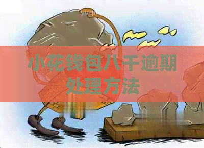 小花钱包八千逾期处理方法