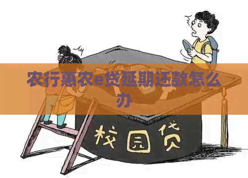 农行惠农e贷延期还款怎么办