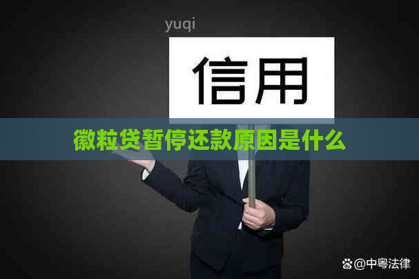 徽粒贷暂停还款原因是什么