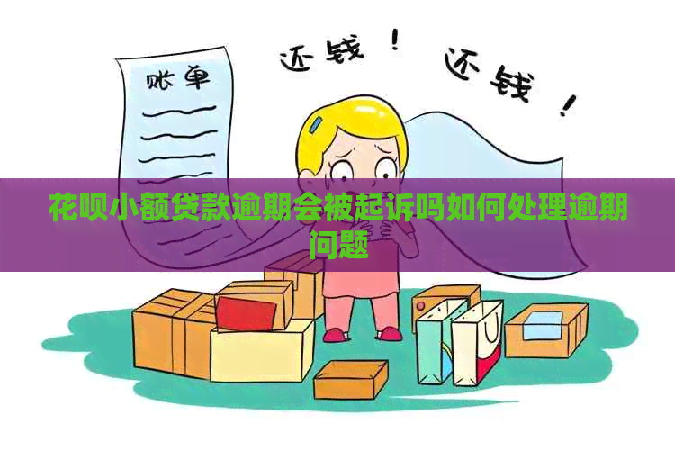 白条小额贷款逾期会被起诉吗如何处理逾期问题