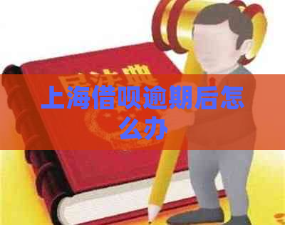 上海信用卡逾期后怎么办