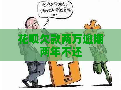 白条欠款两万逾期两年不还
