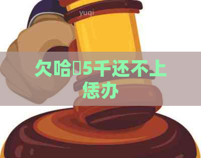欠哈啰5千还不上恁办