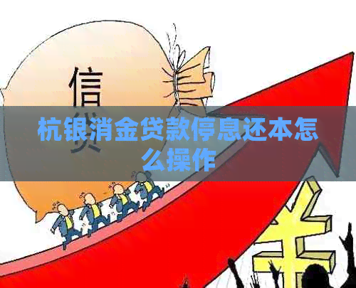 杭银消金贷款停息还本怎么操作