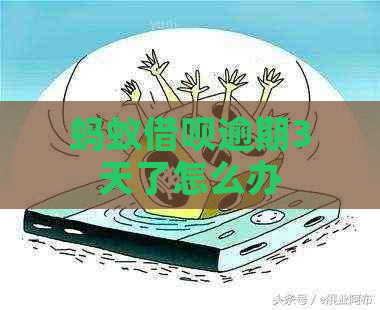 蚂蚁信用卡逾期3天了怎么办